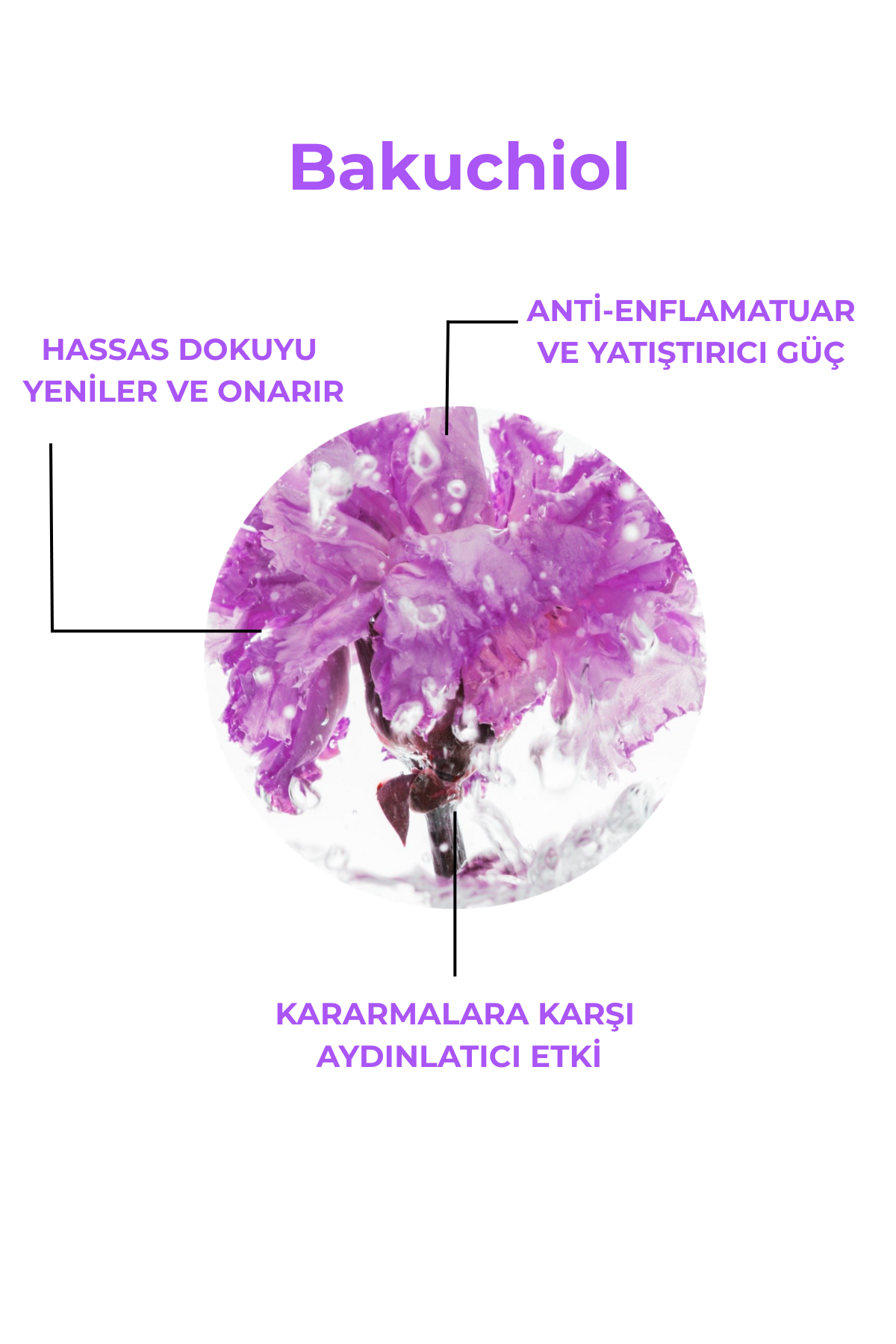 Text